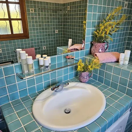 Spacious With Pool And Fireplace *